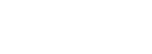 Karl_Detroit_Endobridge_Logo