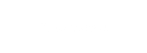 Karl_Detroit_Novartis_Logo